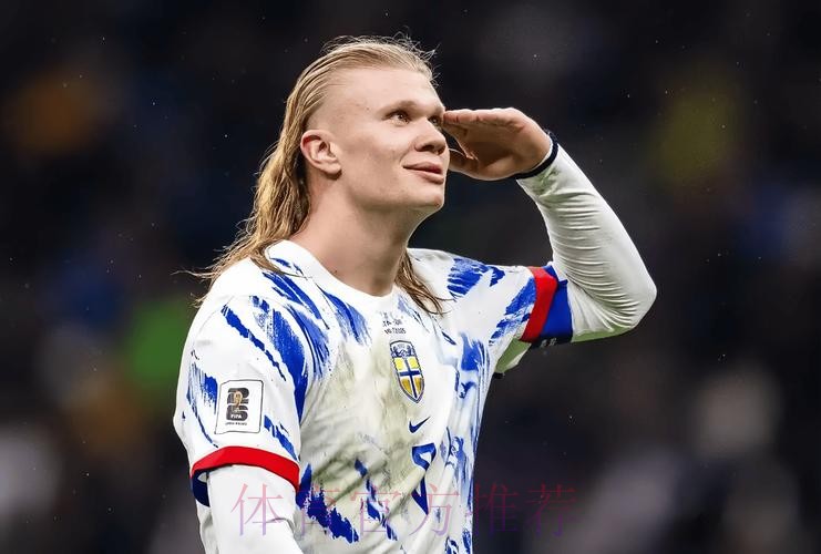 最新世界杯葡萄牙哈兰德赛事预测全面分析 最新世界杯葡萄牙哈兰德赛事预测全面分析